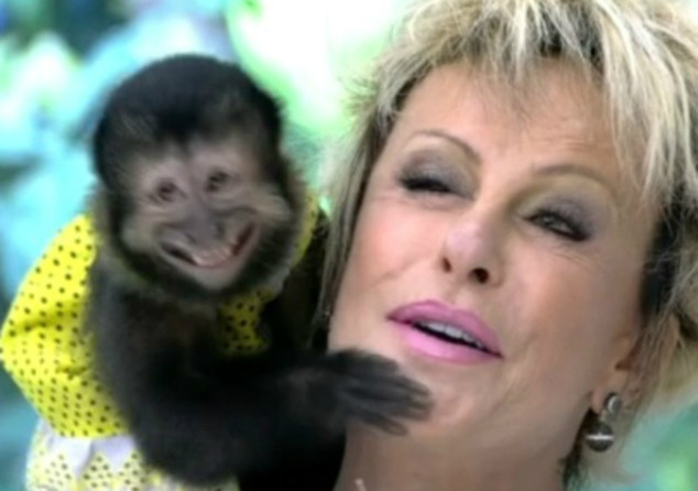Ana Maria Braga apanha de macaco ao vivo no Mais Você Ana Maria Braga apanha de macaco ao vivo no Mais Você